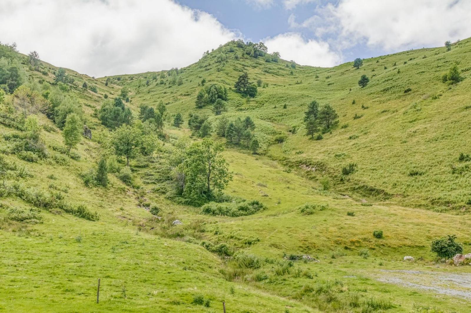 Appartement Alpin A 200M Des Pistes Genos Luaran gambar